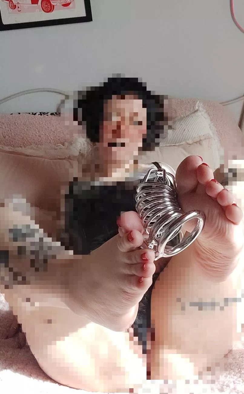 I need a new maid, get your outfit ready to serve me