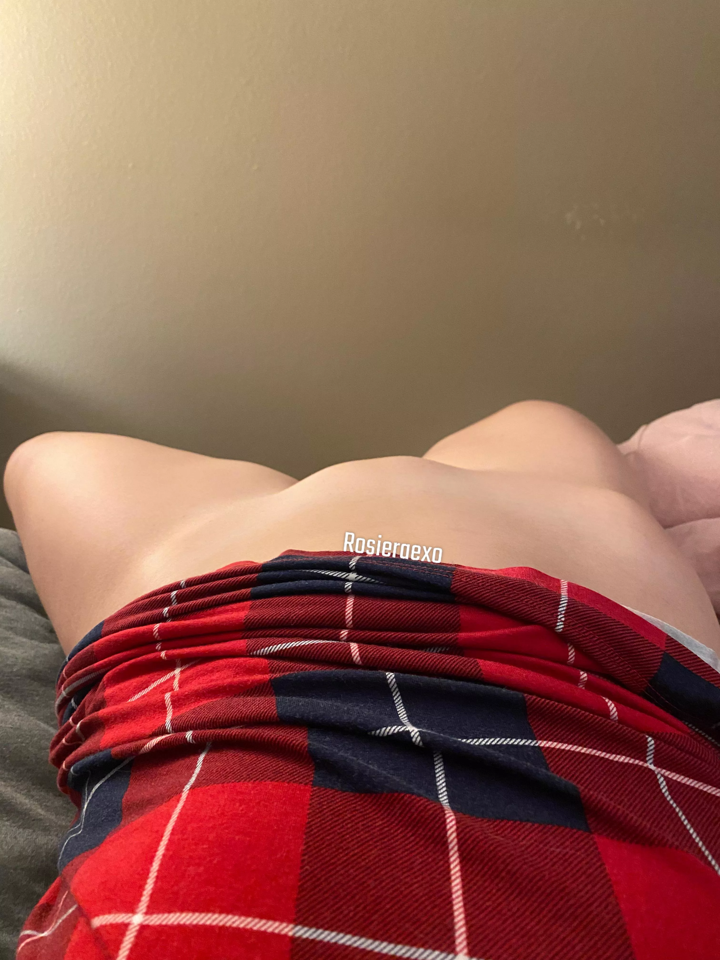 Laying here needing some company after lesson planning