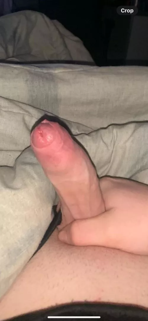 Looking for blokes around forest lake 