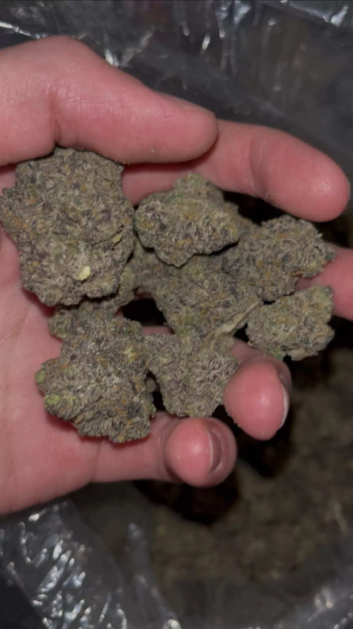 Loud & Sticky McKinney Allen Plano frisco 