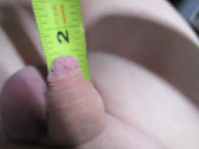 Love to be pants-less in Pgh Pa USA 