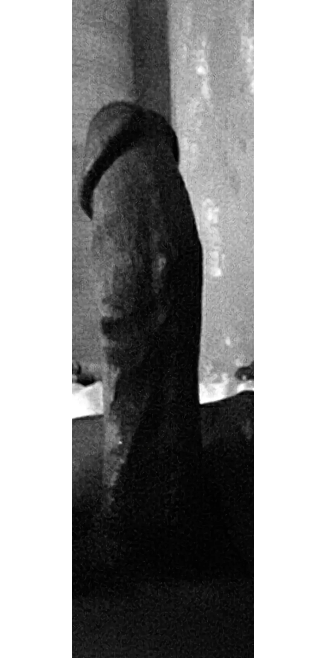 M 28, SOR, looking for W any age, or couple. Can accommodate if W. 