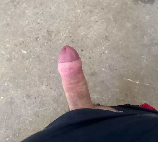 M19 who’s free tonight?