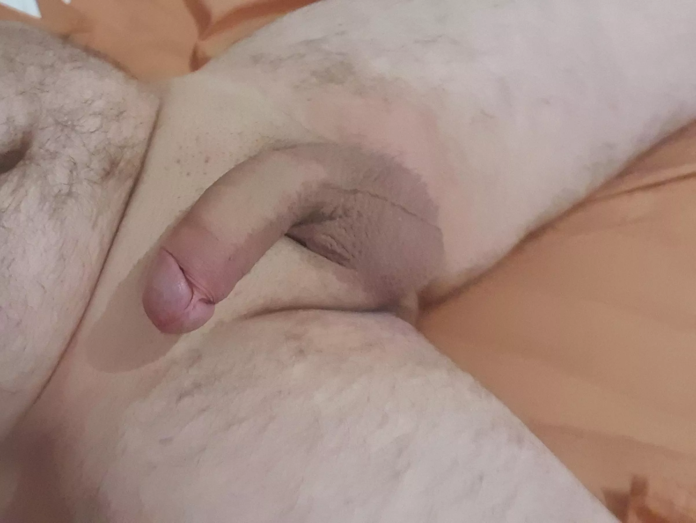 (M)uch too hot today, had to let him breathe