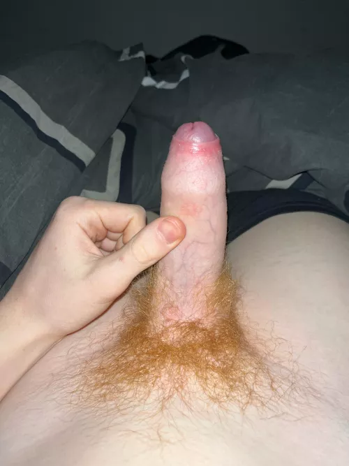My young uncut penis 