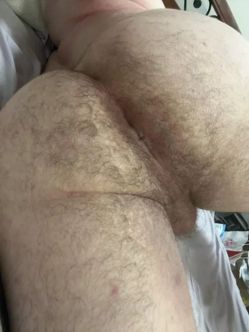 Need a pretty boy to goon to my hairy virgin boy hole 24 aussie dm me