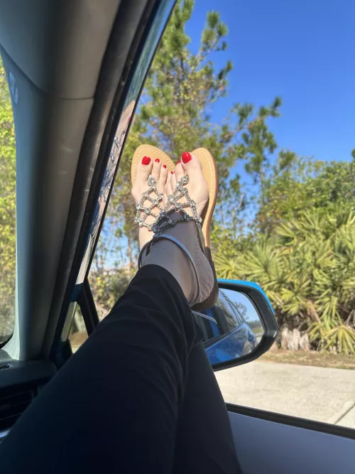 Out for some fun in the sun