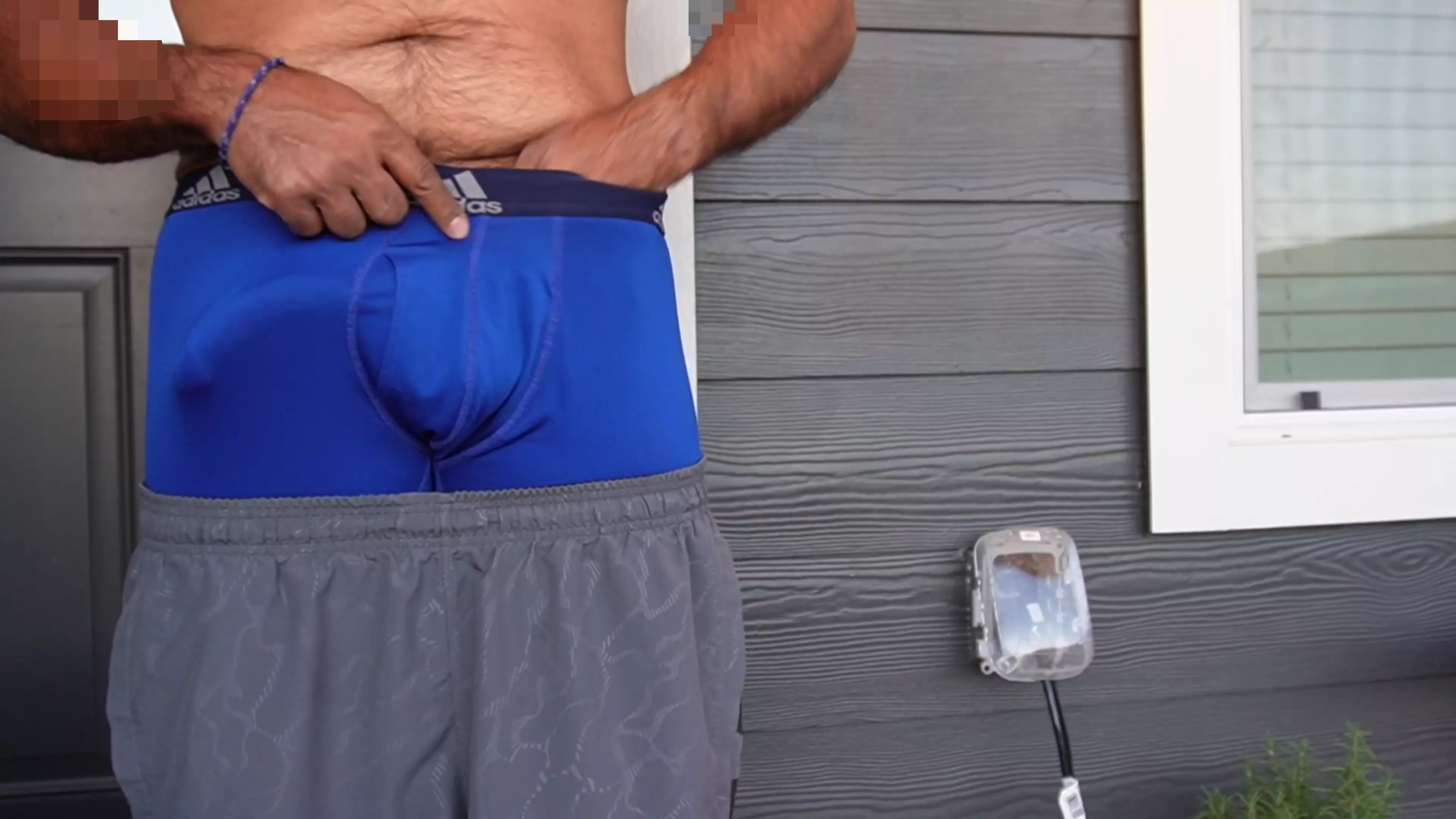 Should I let him out? 