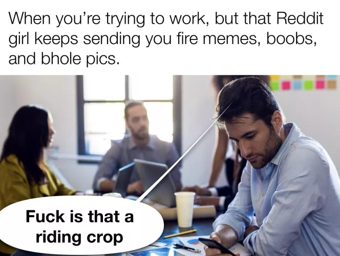 Some distractions are fantastic 