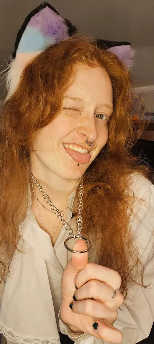 Take my collar and lead me around! This kitty needs a good owner 🎀