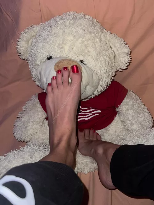 Teddy loves them 🥰🥰