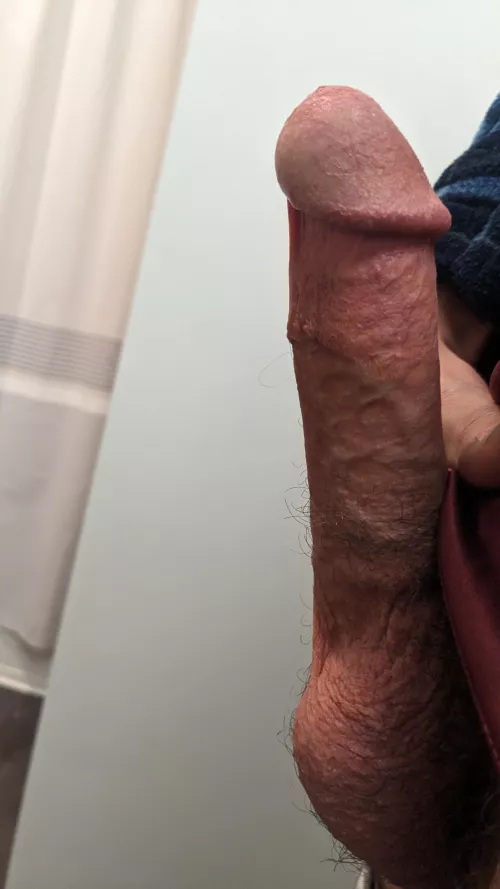 This eager young cock needs to be sucked!