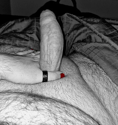 This fat cock is ready for you. (23)