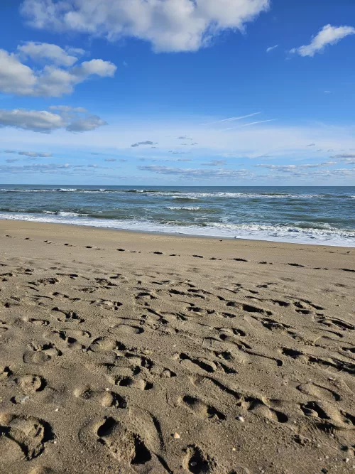 Weather was perfect this morning. The biting gnats were ferocious. Bring lotion.