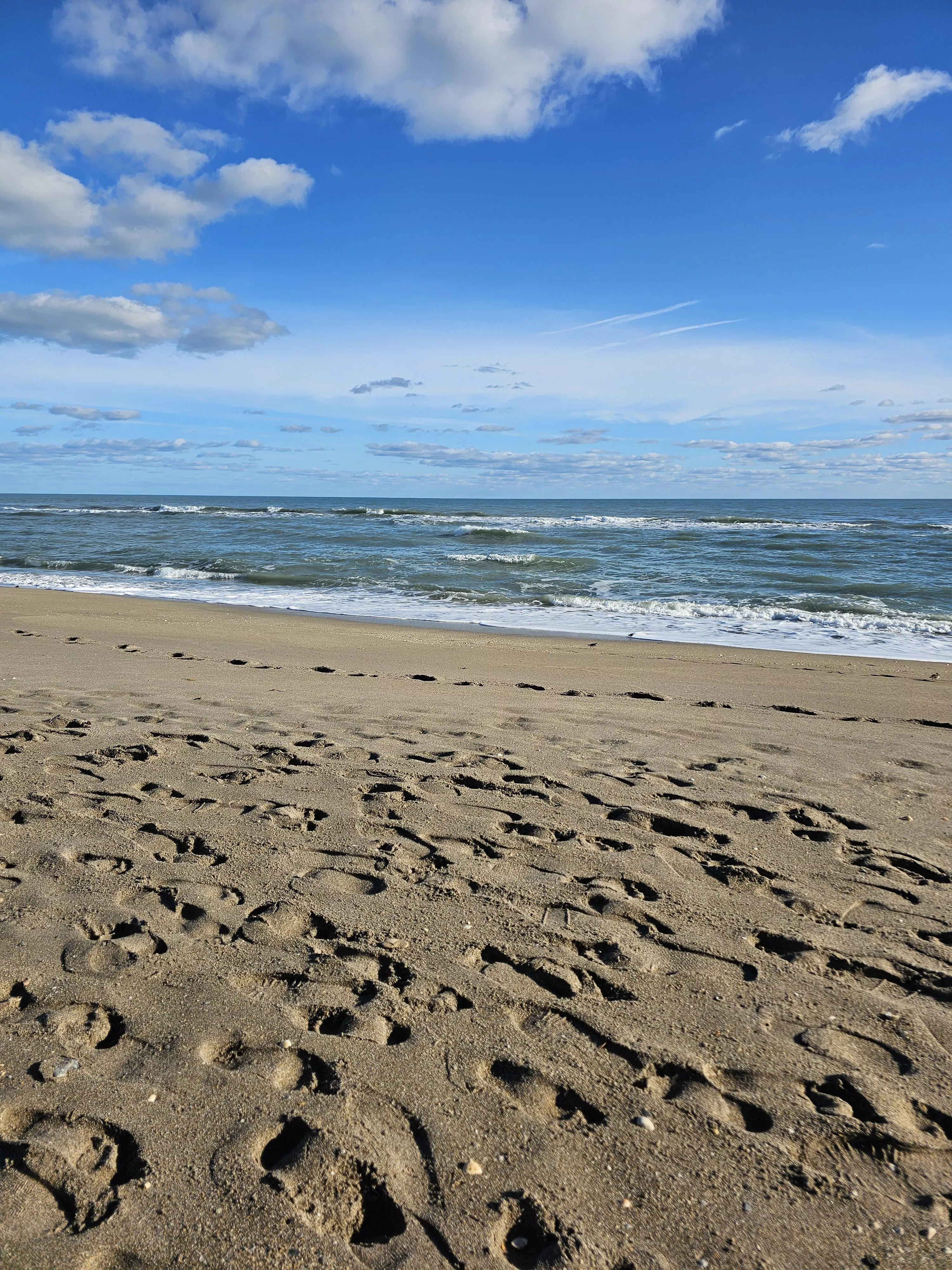 Weather was perfect this morning. The biting gnats were ferocious. Bring lotion.