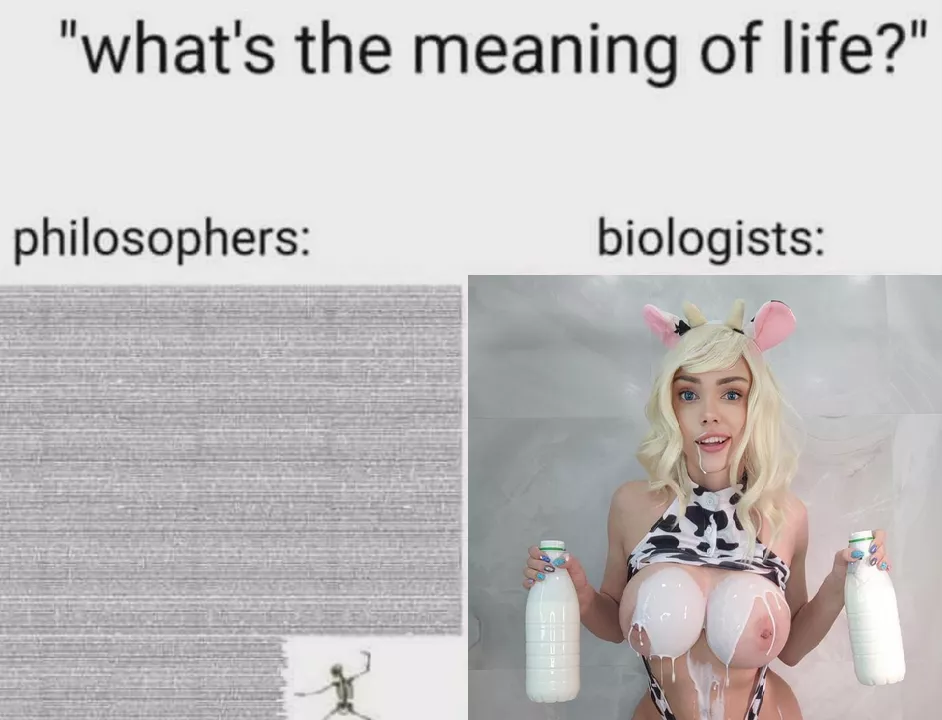 What is the meaning of life?