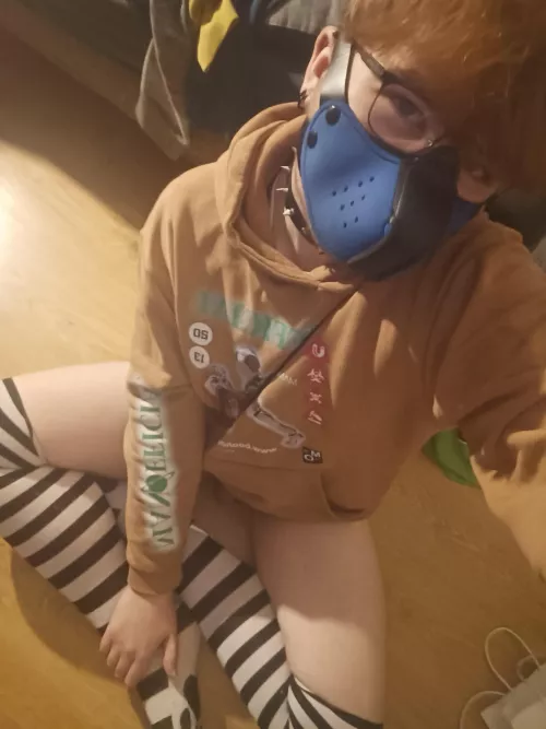 who wants to give this collared cutie pets and call him a good boy? 👉👈🐶