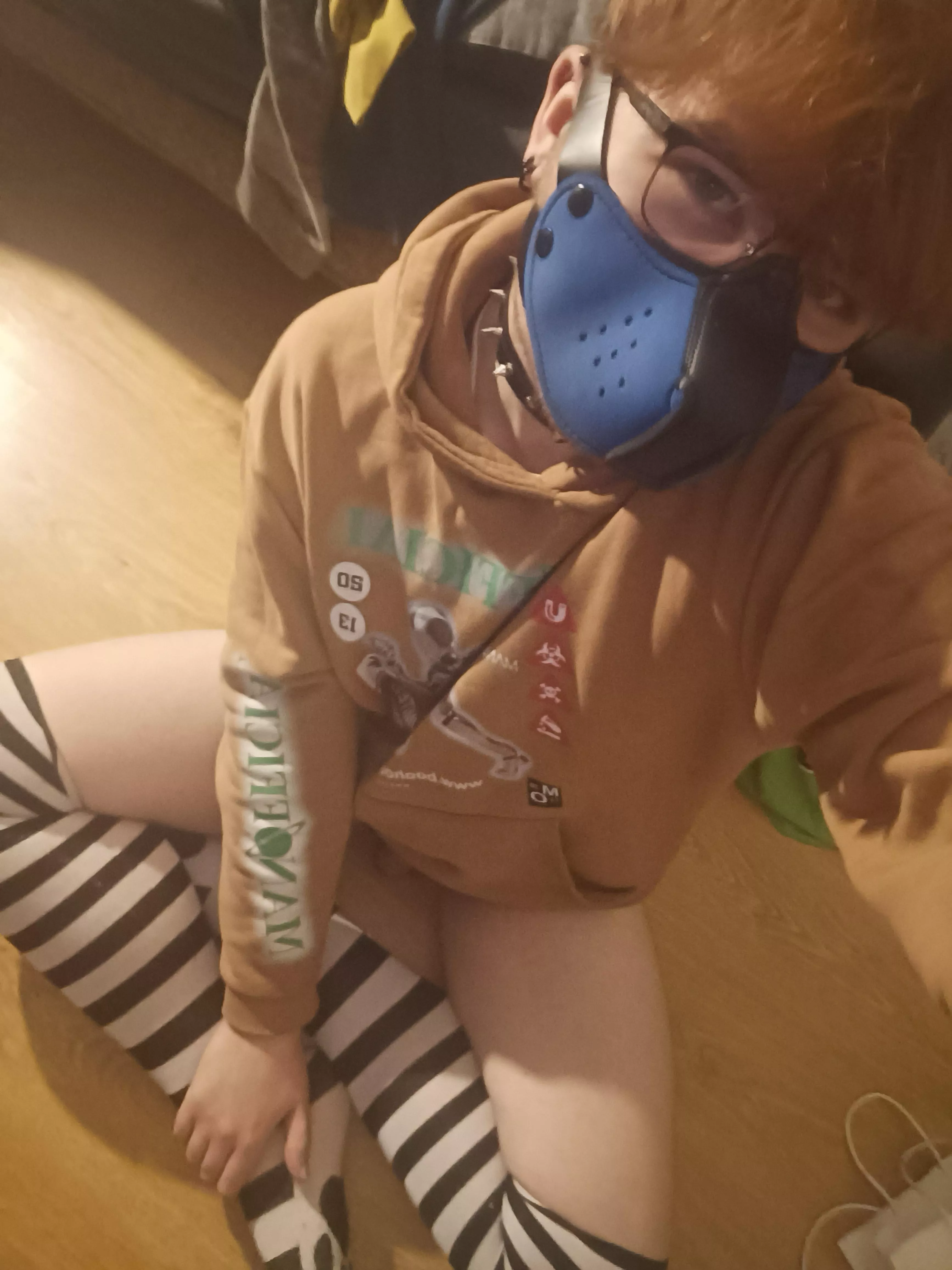 who wants to give this collared cutie pets and call him a good boy? 👉👈🐶