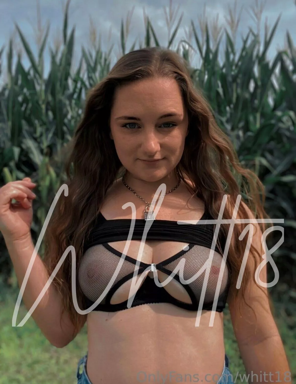 Would you suck them? 