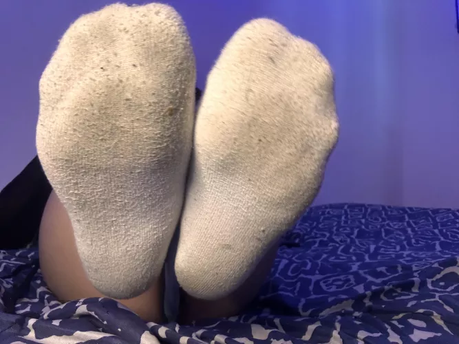 You would smell my dirty stockings