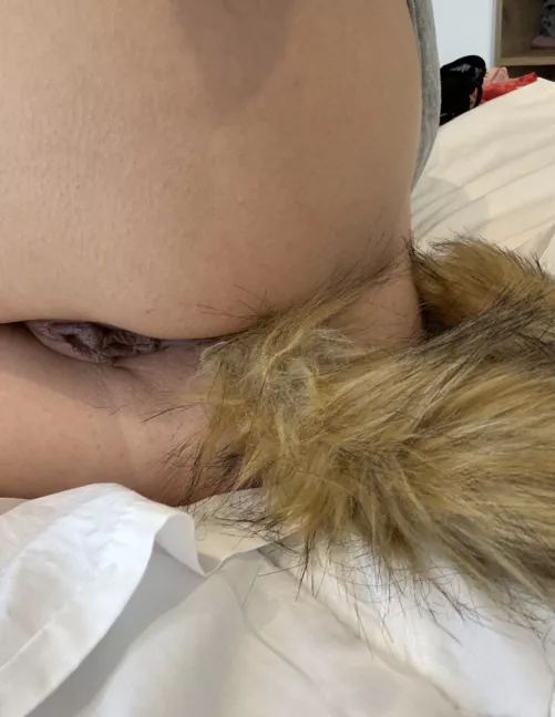 Ass so phat it almost eats the tail