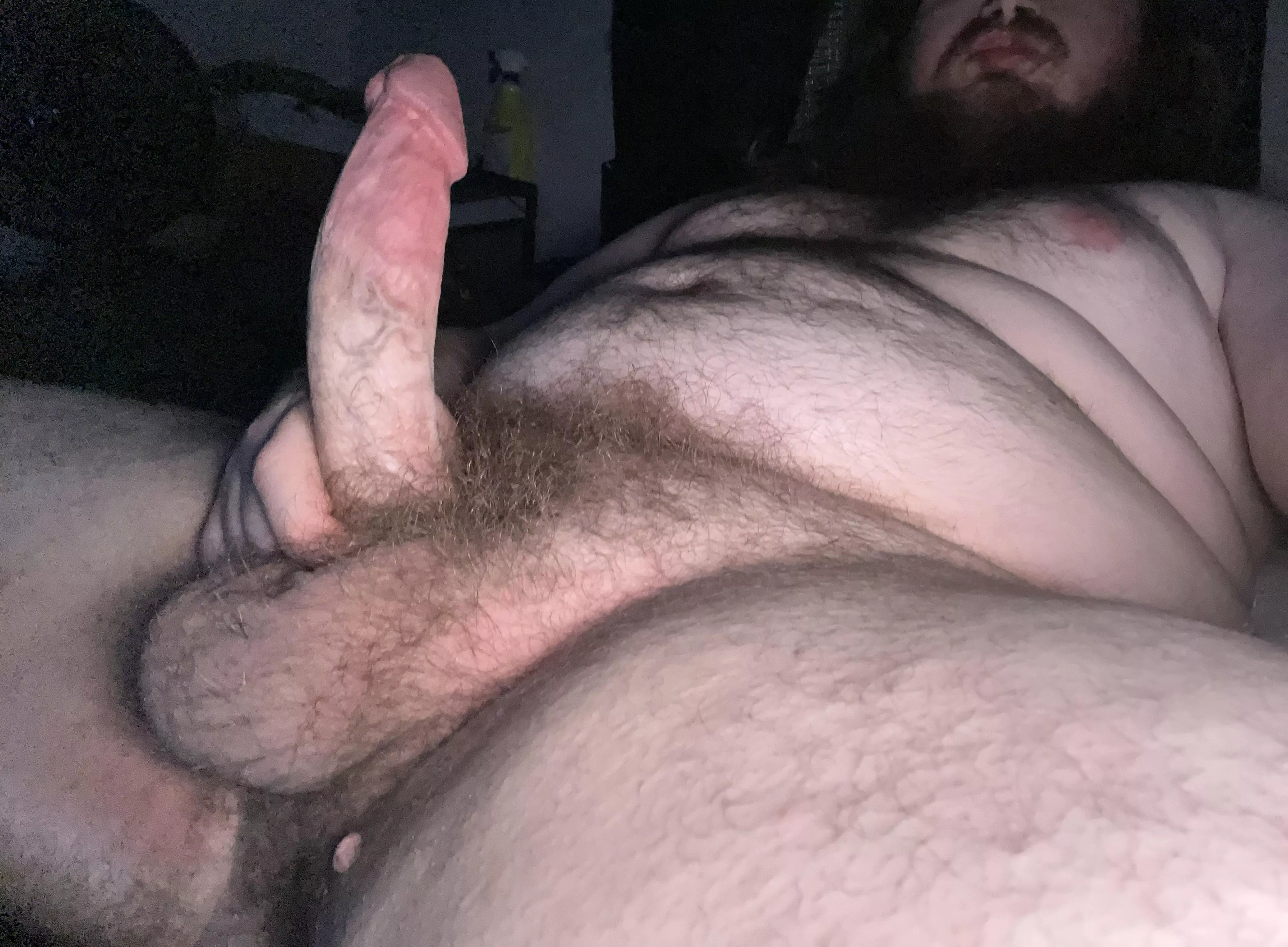 It’s time for your daily breeding