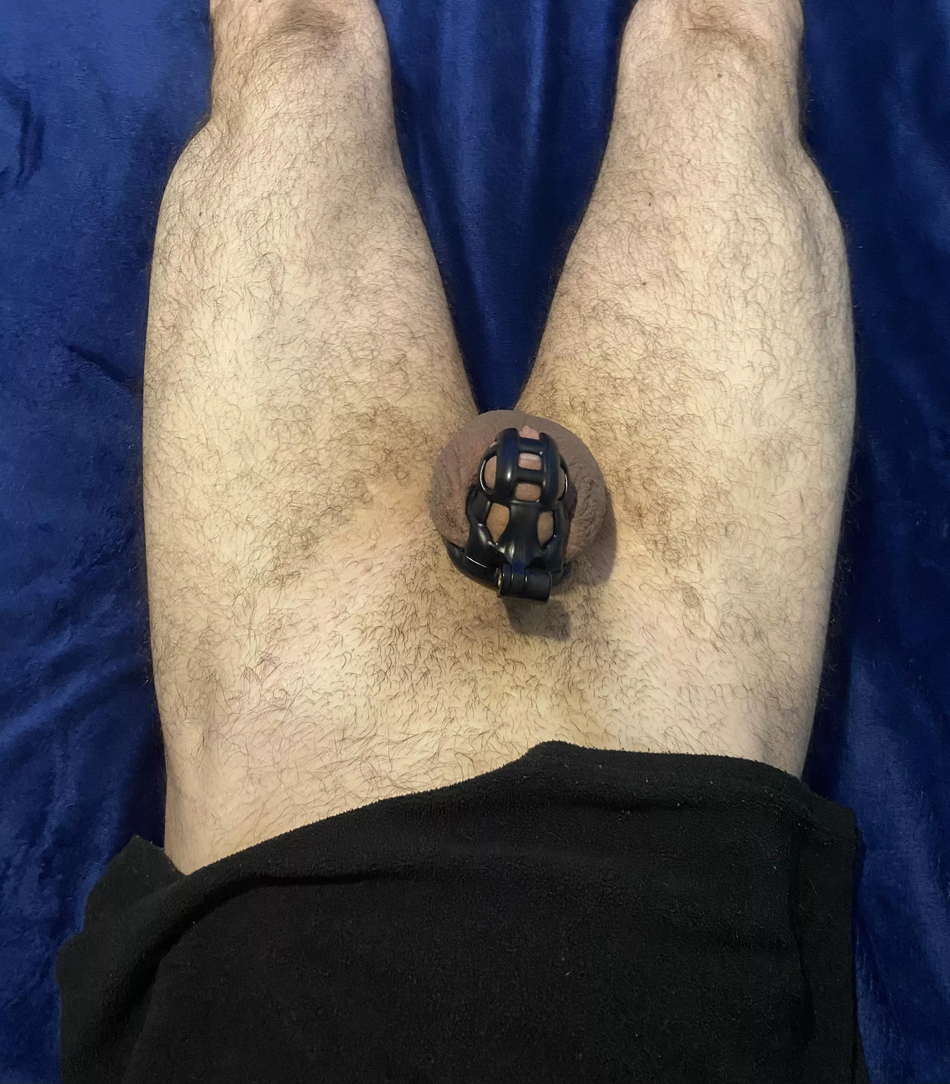 I've been pretty ill recently, so here's a cage check from the comfort of my bed 💪