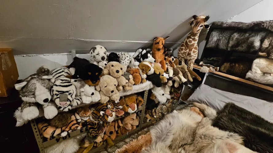 My slow growing horde....