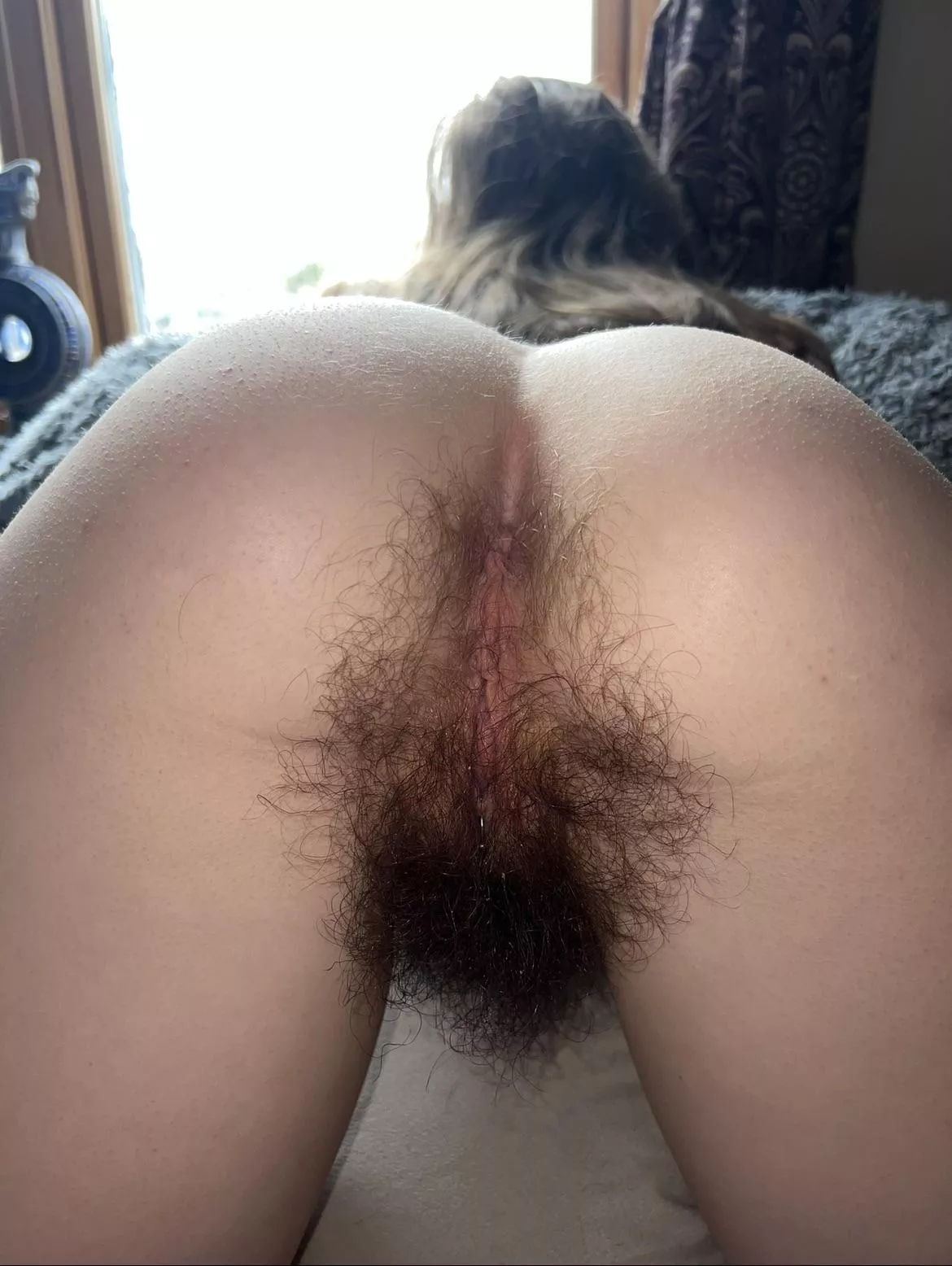 Need someone to loves hairy ass 