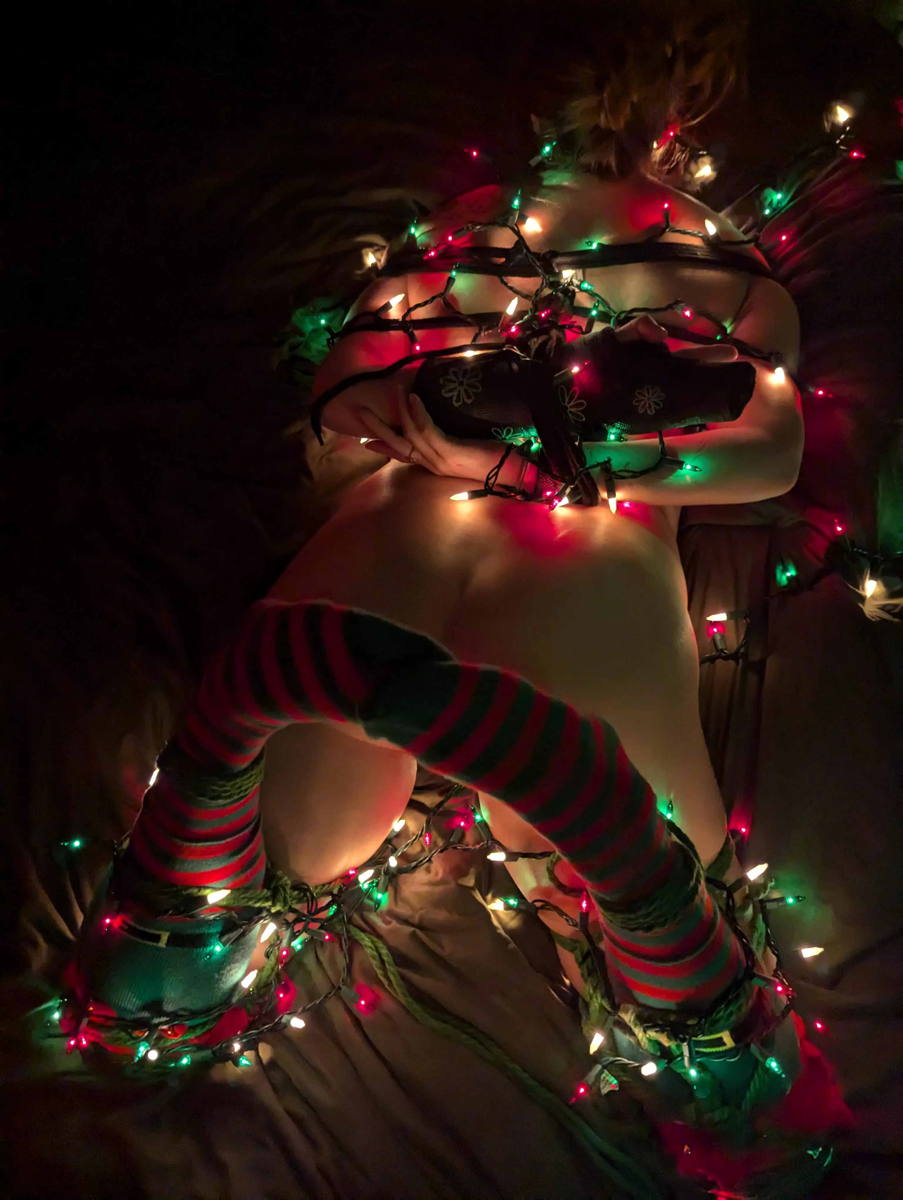 On the 12th day of Christmas my true love gave to me