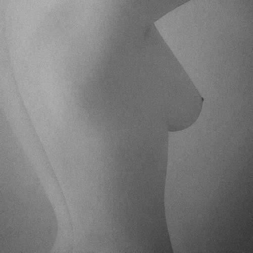 The texture is everything—a whisper of curves, a ghost of presence. See what you will, feel what you can