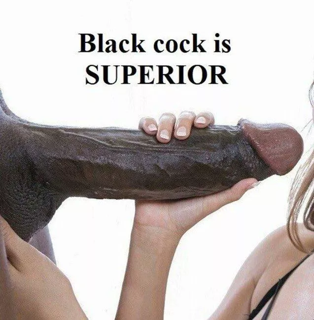 What's your favorite thing about the BNWO? ♠