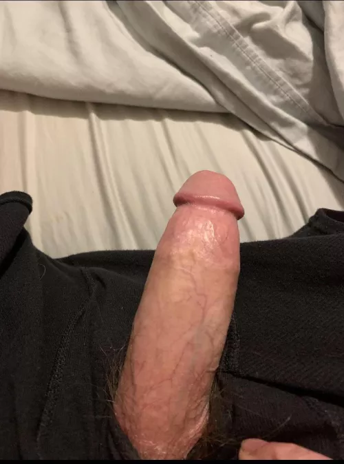 48 mountain grown nc dick what do think of it