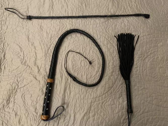 Bought my first single tail 