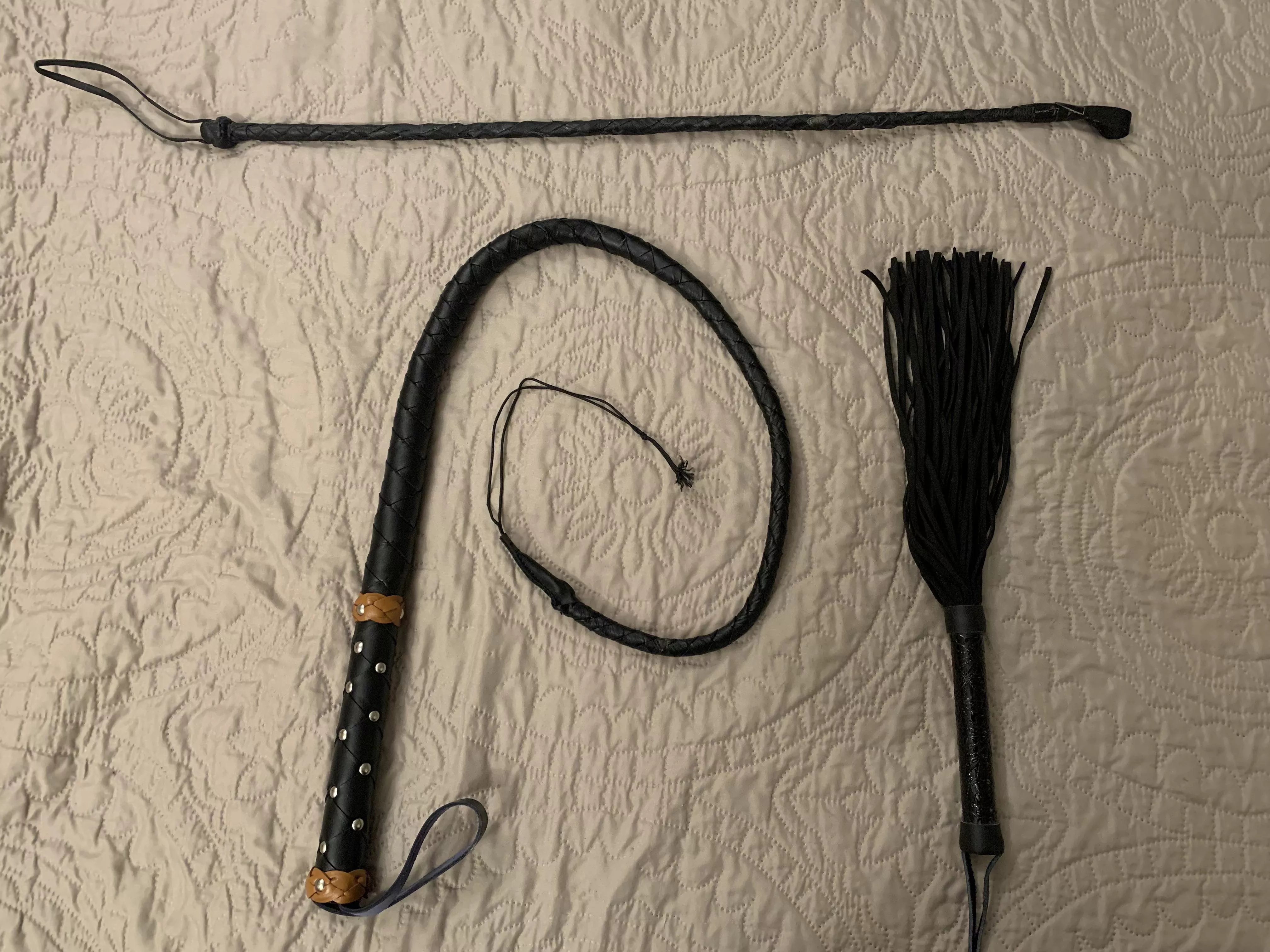 Bought my first single tail 