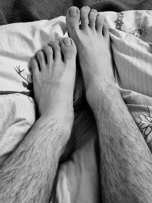 Do you like hairy legs?😋