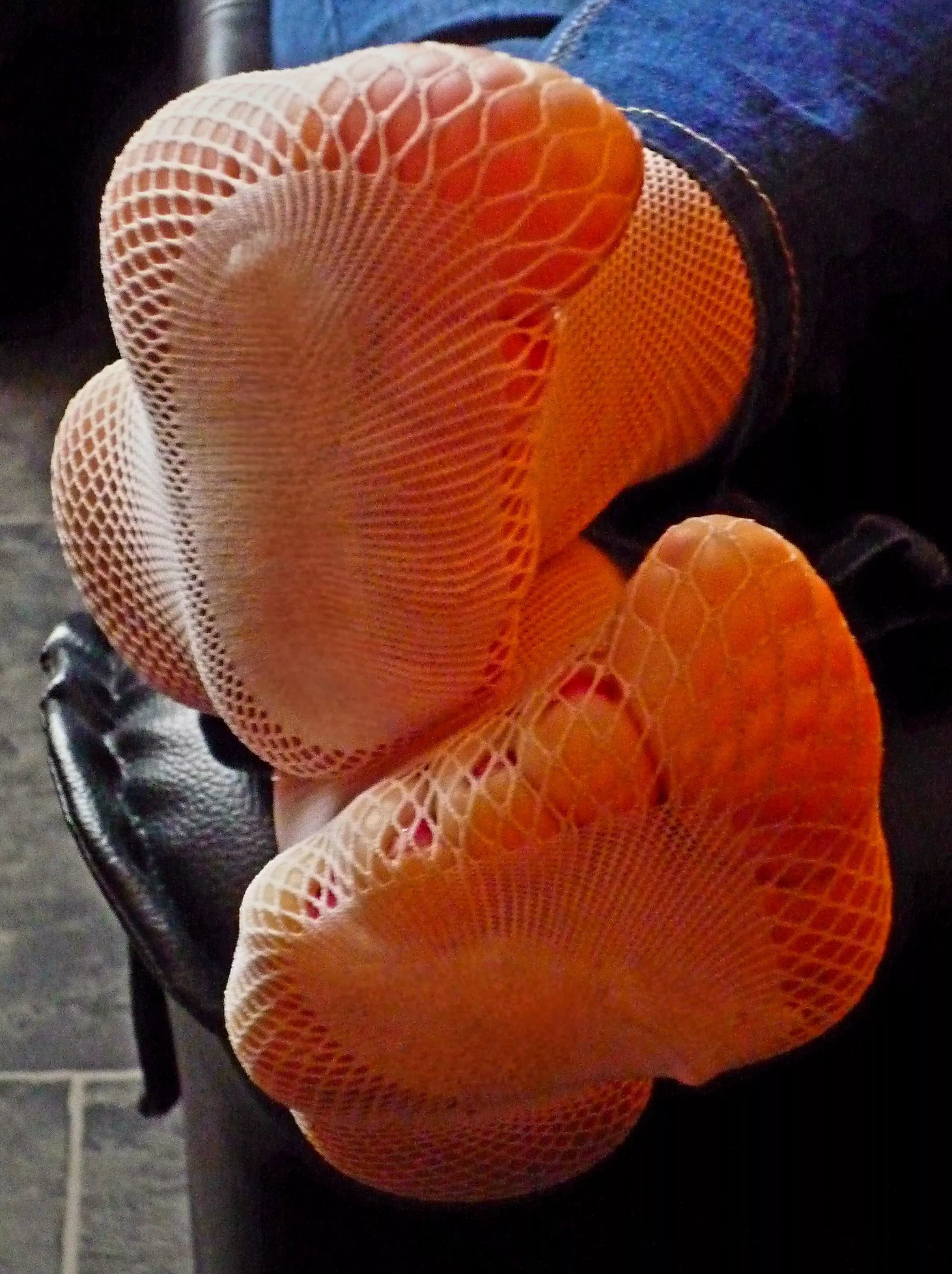 Do you like my withe fishnets closeup ?