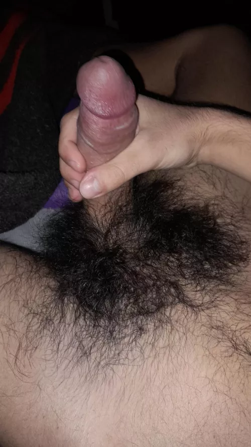 Hairy greek boy