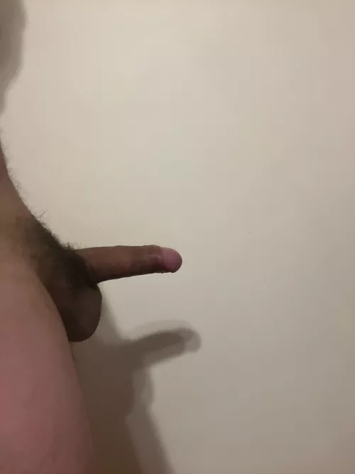 Looking for someone to have fun with . Fems / trans / sissy preferably 