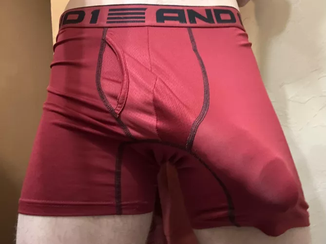 [M18] 8in BWC trying to escape my boxers