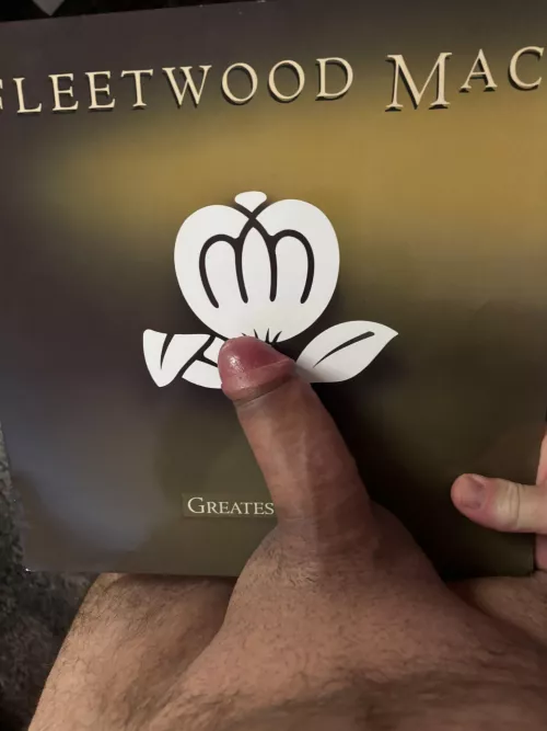 [mlgw] i absolutely adore fleetwood mac 