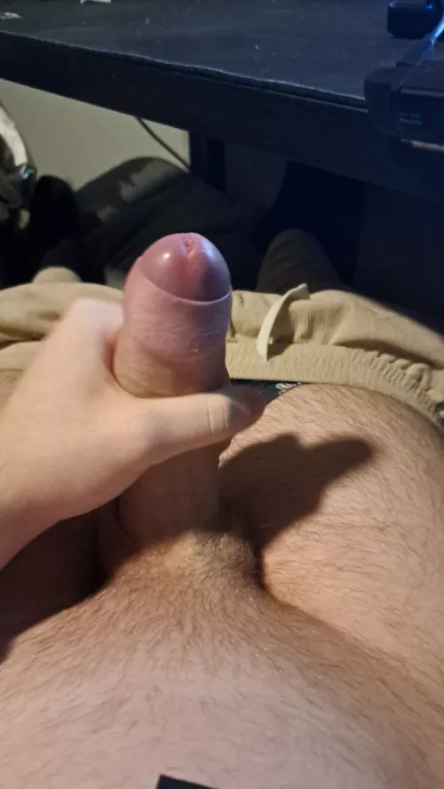 Nogen sissys eller femboys ved amager dm mig