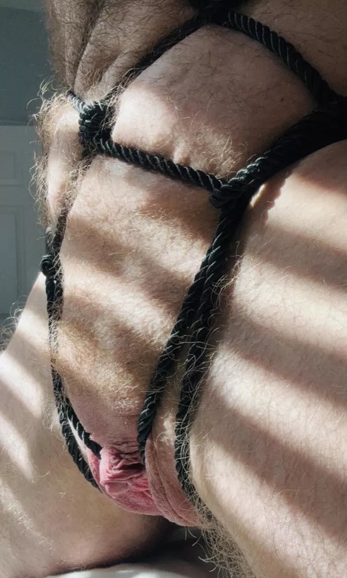 Who likes a hairy tied up boy?