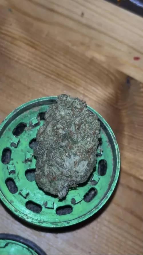 God kveld! White Widow 