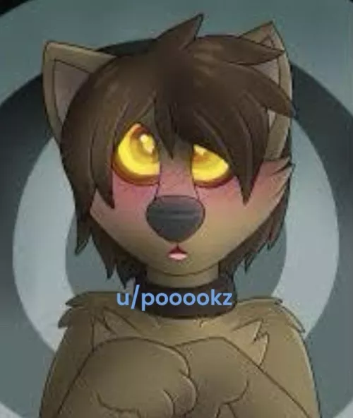 I lost to u/BabyBedwetterMatt in best of 3 c4… I was not a challenge for them and now I am the first resident of his Pound😭