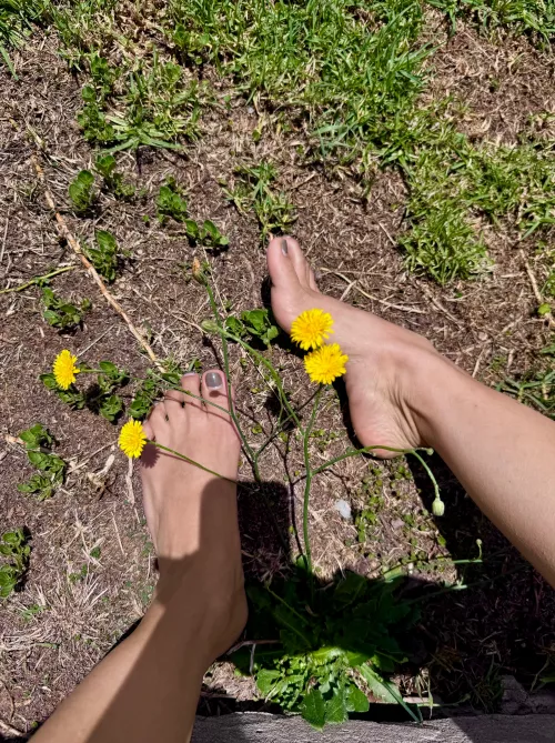 My feet are tired, rub them for me