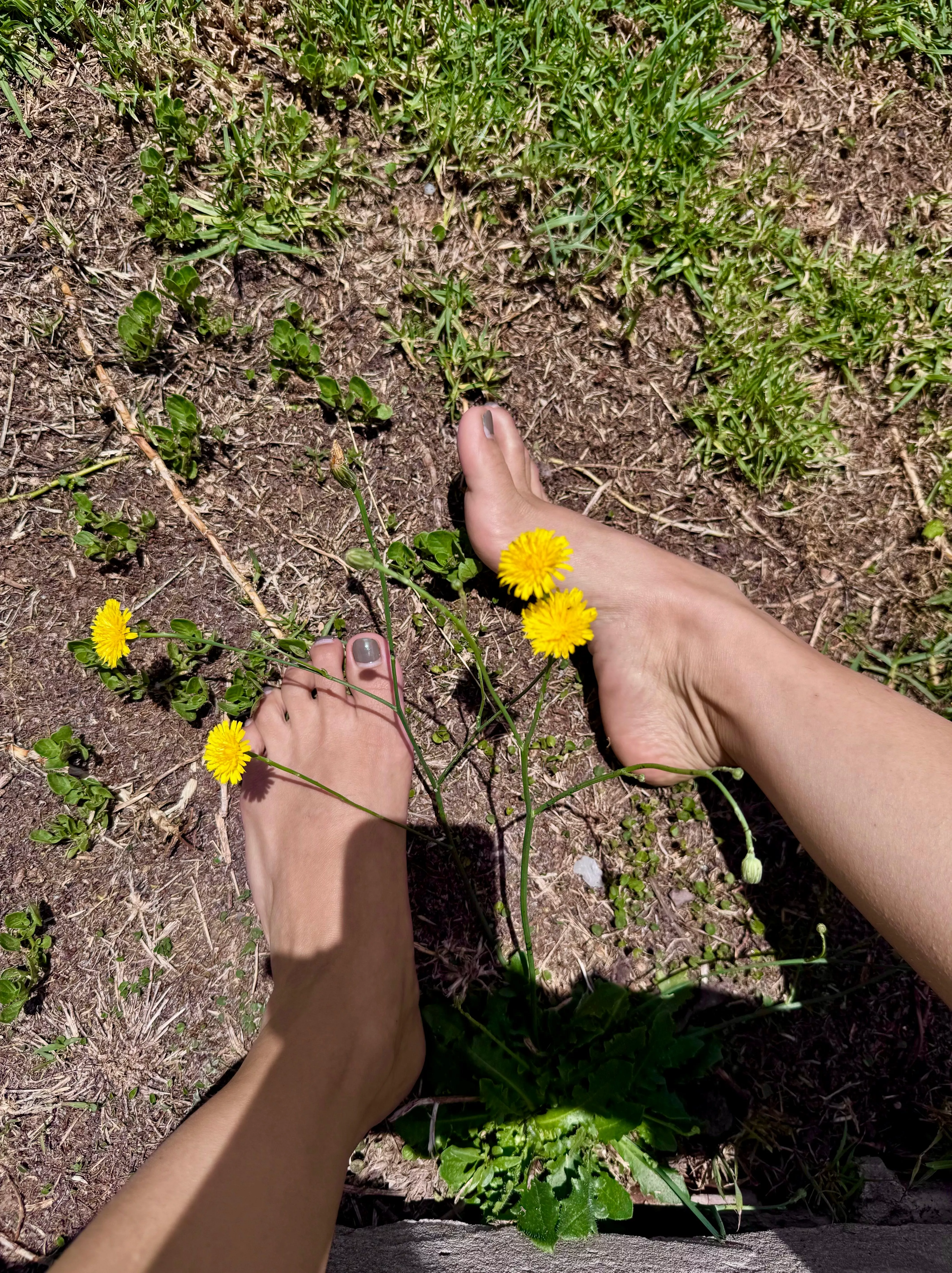 My feet are tired, rub them for me