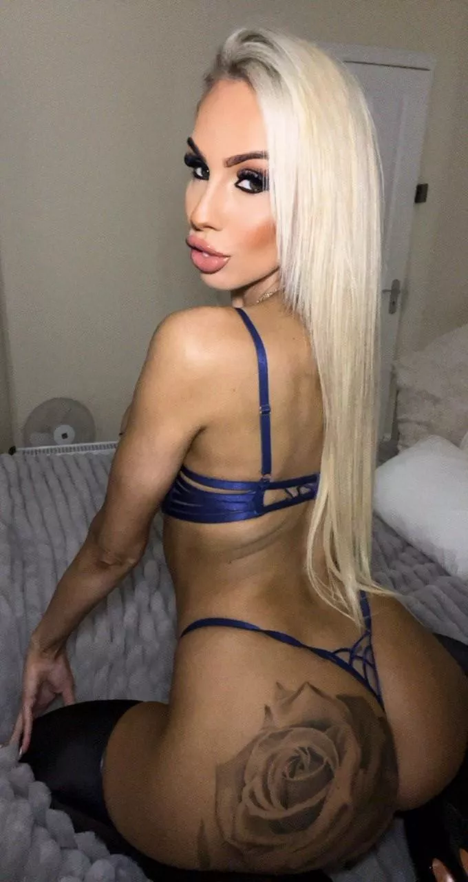 You wish you could take my holes for a ride. 