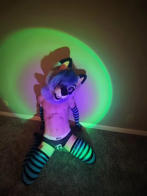 Anyone wanna kiss a cute boy? Please?