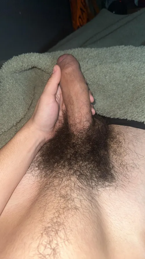 Come sniff this young musk (20)